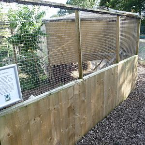 Axe Valley Bird and Animal Park