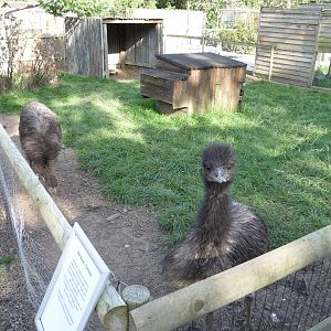Axe Valley Bird and Animal Park