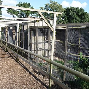 Axe Valley Bird and Animal Park