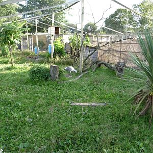 Axe Valley Bird and Animal Park