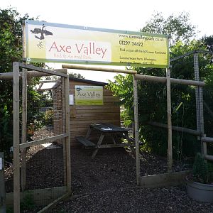 Axe Valley Bird and Animal Park