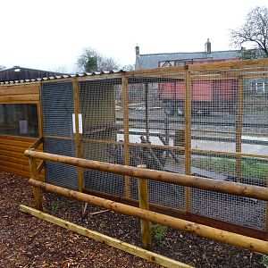 Axe Valley Bird and Animal Park