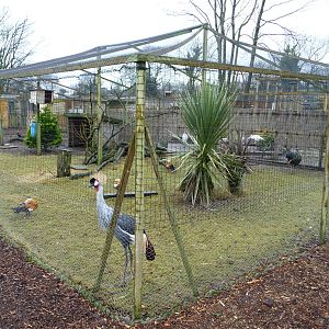 Axe Valley Bird and Animal Park