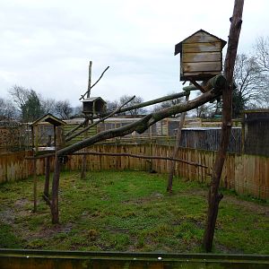 Axe Valley Bird and Animal Park