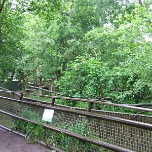 Red Panda enclosure