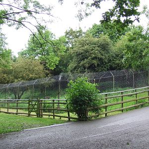 Brown Hyena enclosure