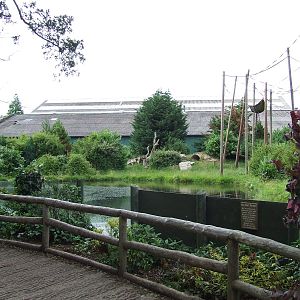 Chimpanzee exhibit