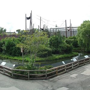 Chimpanzee exhibit