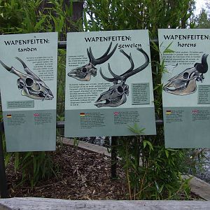 Signage, Burgers Rimba