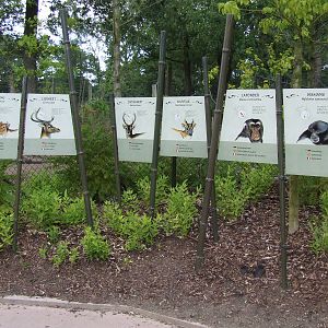 Signage, Burgers Rimba