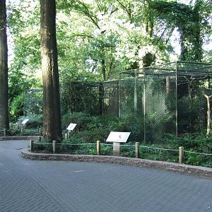 Aviaries