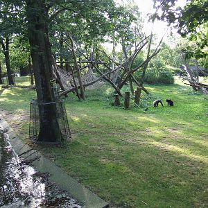 Chimpanzee enclosure