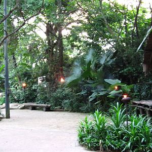 Night Safari Entrance Courtyard