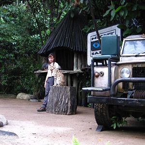 Animal Photography Stage