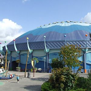 Dolphin Dome