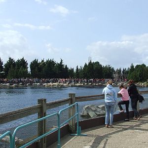 Dolphin Lagoon