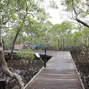 David Fleays - Feb 2009