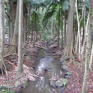 David Fleays - Feb 2009