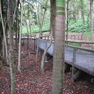 David Fleays - Feb 2009