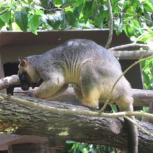 David Fleays - Feb 2009