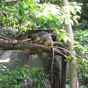 David Fleays - Feb 2009