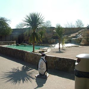 Penguin Pool at Cotswold WP 17/04/10