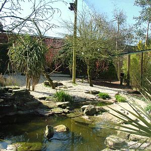 Walled Garden Walk-through Aviary at Cotswold WP 17/04/10