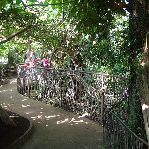 Tropical House at Cotswold WP 17/04/10