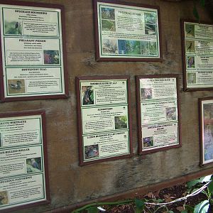 Tropical House labels at Cotswold WP 17/04/10