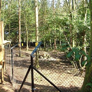 Wolverine exhibit at Cotswold WP 17/04/10