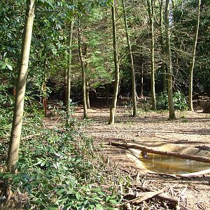 Wolverine exhibit at Cotswold WP 17/04/10