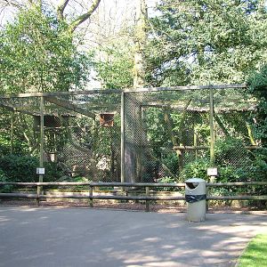 Pallas Cat exhibit at Cotswold WP 17/04/10