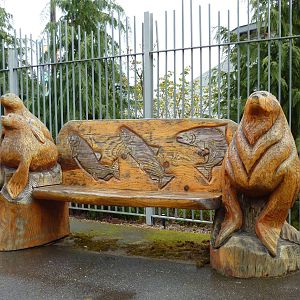 Sea Lion Bench