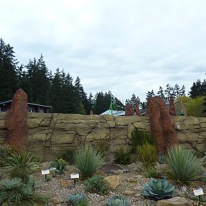 Meerkat Exhibit - Exterior