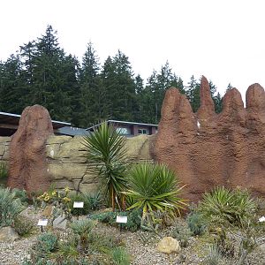 Meerkat Exhibit - Exterior