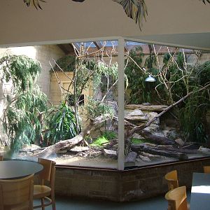 Restaurant animal exhibit at Cotswold WP 17/04/10