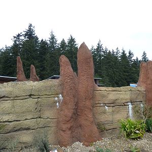 Meerkat Exhibit - Exterior