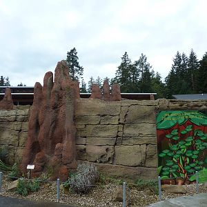 Meerkat Exhibit - Exterior