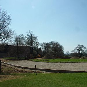Giraffe exhibit construction at Cotswold WP 17/04/10