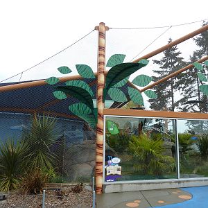 Ring-Tailed/Black Lemur Exhibit