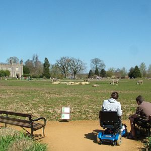 Best seat in the house at Cotswold WP 17/04/10