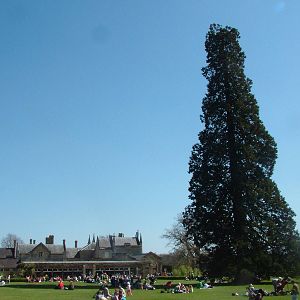 Picnic time at Cotswold WP 17/04/10