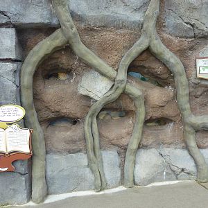 Damaraland Mole Rat Exhibit