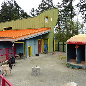 Kids' Zone Farm