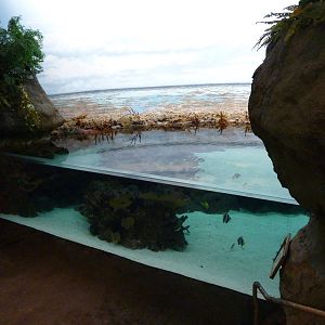 South Pacific Aquarium