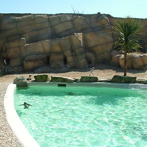 Penguin Pool at Cotswold WP 17/04/10