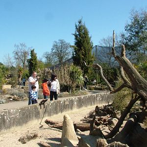 Walled Garden at Cotswold WP 17/04/10
