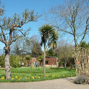 Walled Garden at Cotswold WP 17/04/10