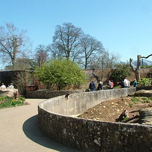 Walled Garden at Cotswold WP 17/04/10