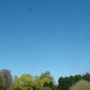 Oryx paddock at Cotswold WP 17/04/10